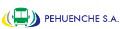 Pehuenche